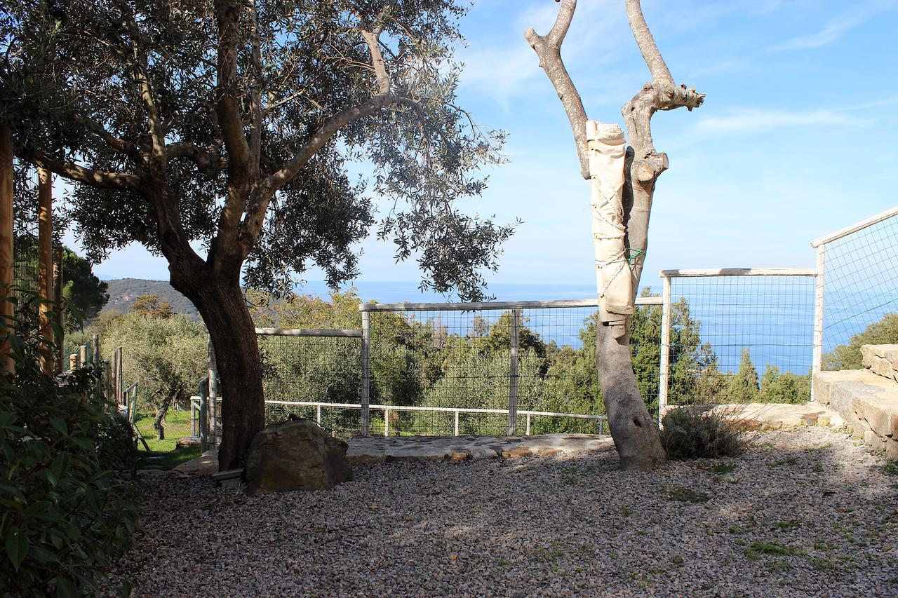 Country House Tagliaferro Marciana Marina  Exterior foto